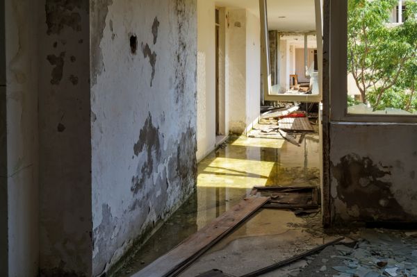 Cost of Water Removal Service in San Antonio
