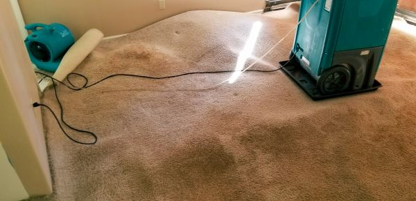 Carpet Water Extraction in San Antonio