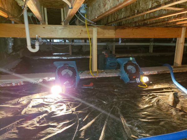 Cost of Crawlspace Water Removal in San Antonio